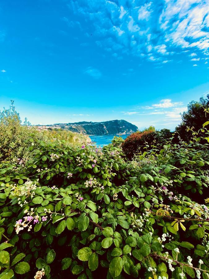 La Fortezza Forio di Ischia エクステリア 写真